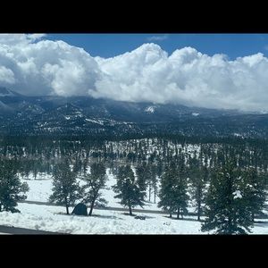 Meet your Posher, Alexandra